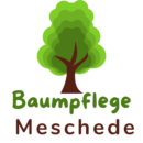 Baumpflege Meschede